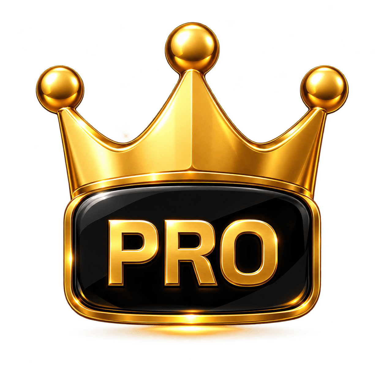CodeMaster PRO badge